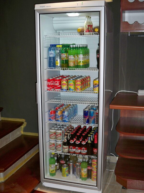 Koelkasten Horeca met glasdeur Exquisite (hxbxd) 1,73x60x60